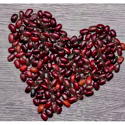 Red Kidney Beans-2