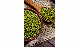 Green Mung Bean