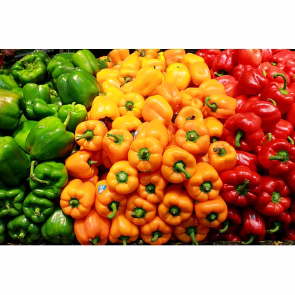 Capsicum-2