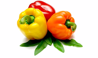 Capsicum