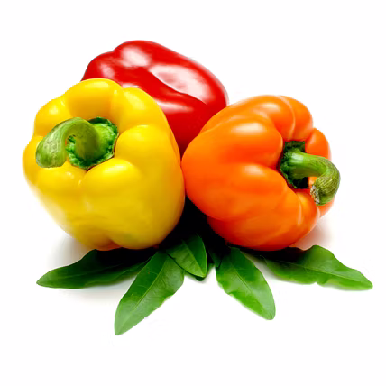 Capsicum-12613938