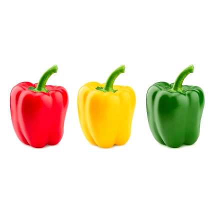 Capsicum-1