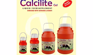 Calcilite