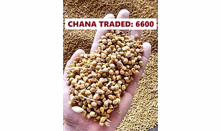 Chana