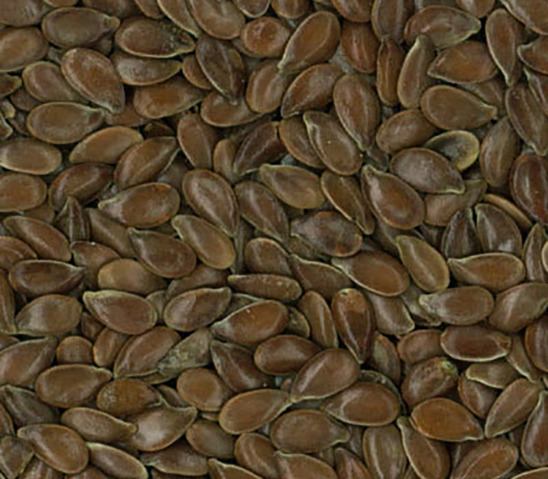 Flaxseed-12535308