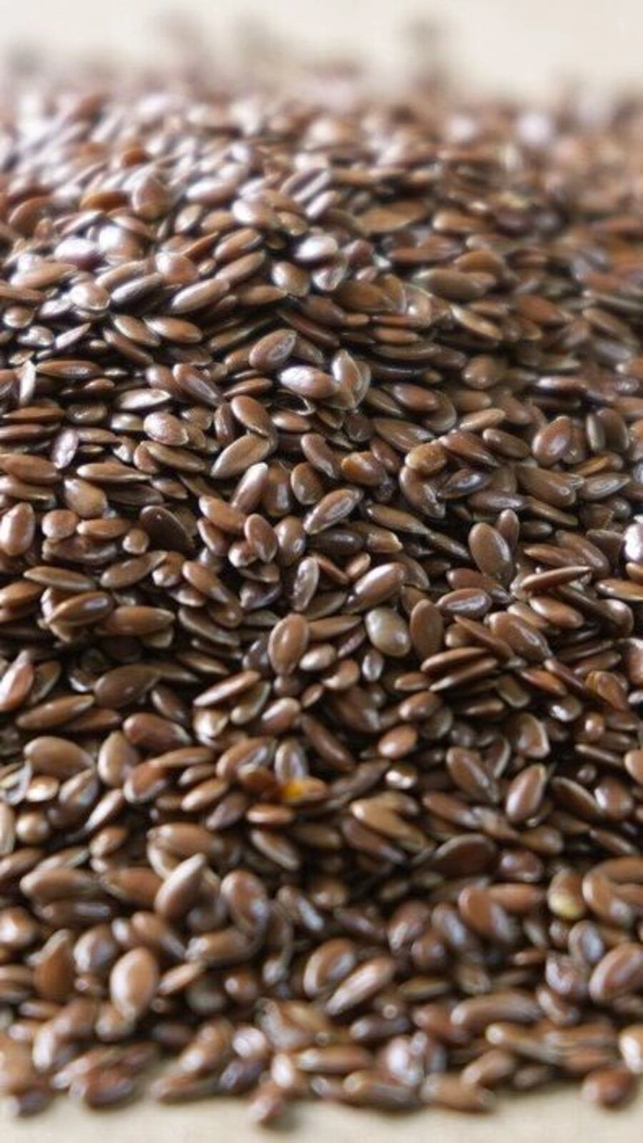 Flaxseed-2