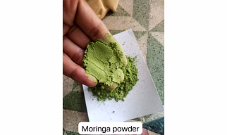 Moringa miracle powder