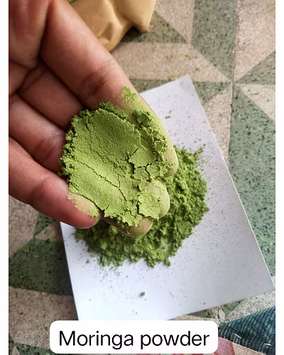 Moringa miracle powder-12535327