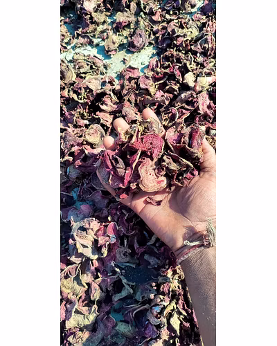 Beetroot flacks-1