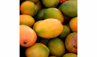 Alphanso Mangoes