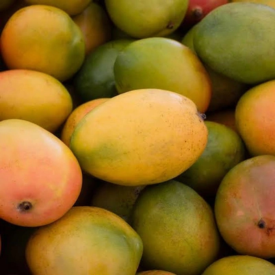 Alphanso Mangoes