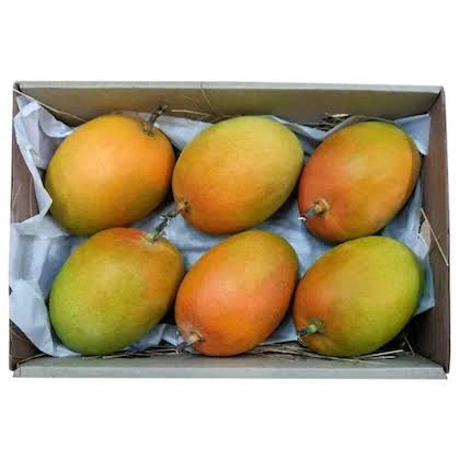 Alphanso Mangoes-2