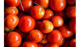Fresh Tomato