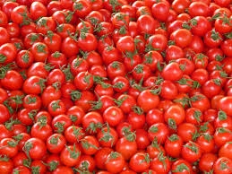 Fresh Tomato-1