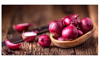 Indian Fresh Onion