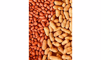 Bold and Java Peanuts