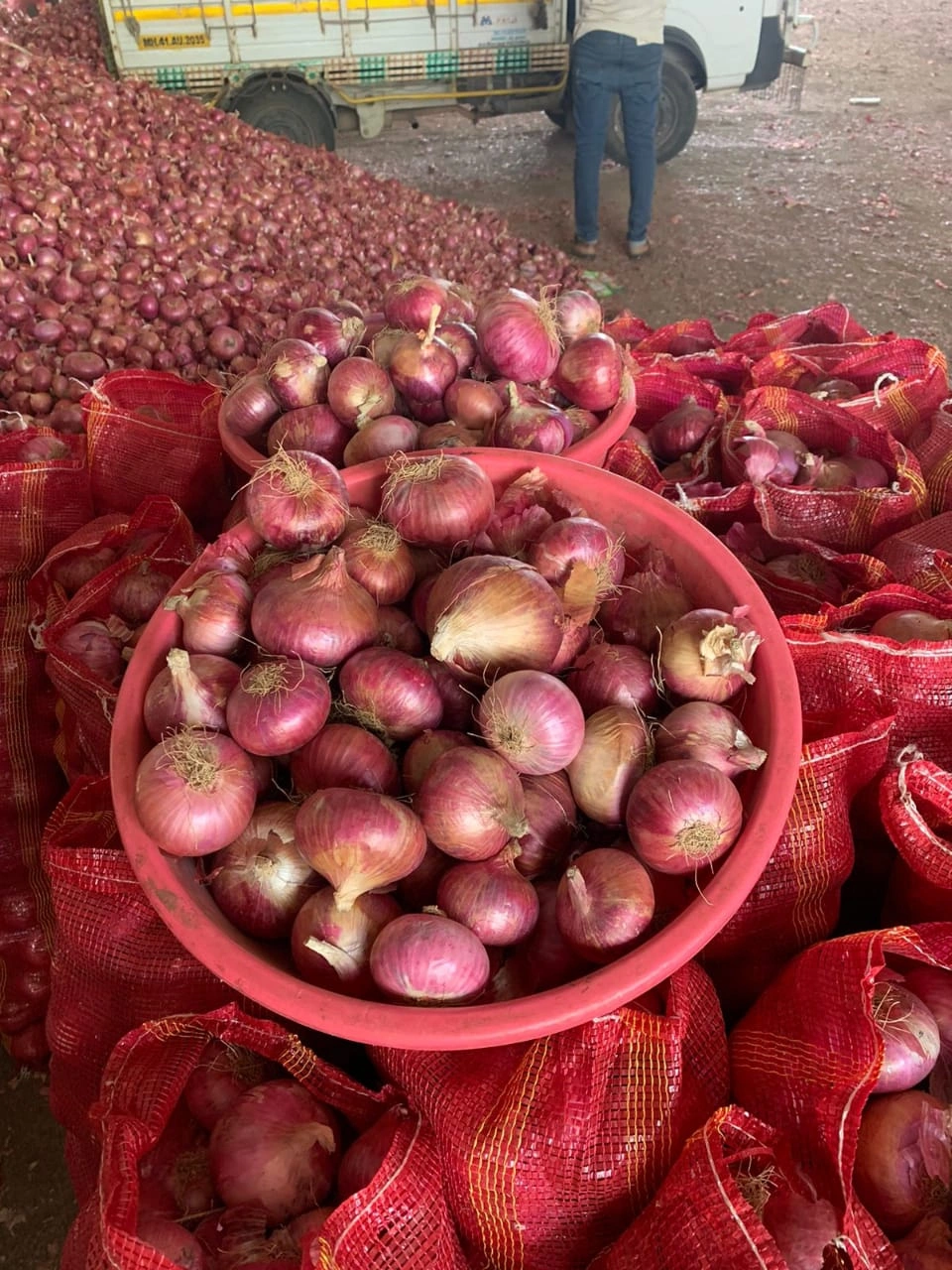 Indian Fresh Onion-1