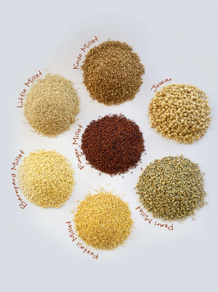 Indian Millet-3