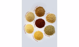 Indian Millet