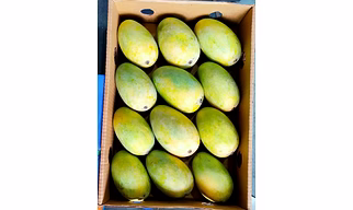 Fresh Mango