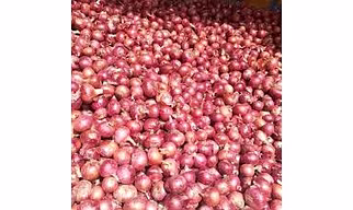 Onion
