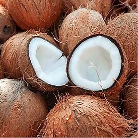 Semi Husk Coconut