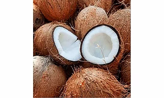 Semi Husk Coconut