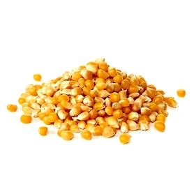 Maize