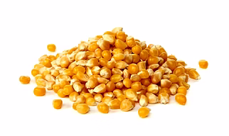 Maize
