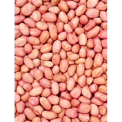 Groundnut-2