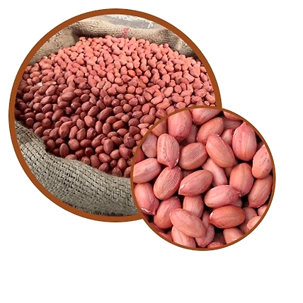 Groundnut-1