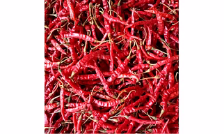 Teja Red Chilli