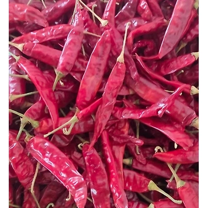 Teja Red Chilli-1