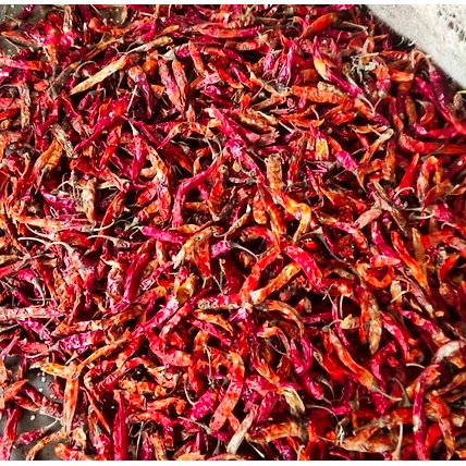 Teja Red Chilli-2