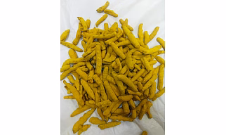 Turmeric