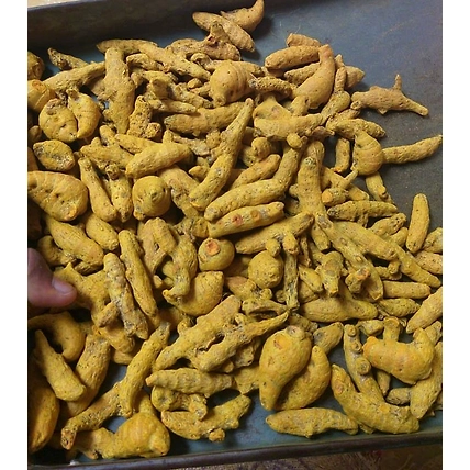 Turmeric-3