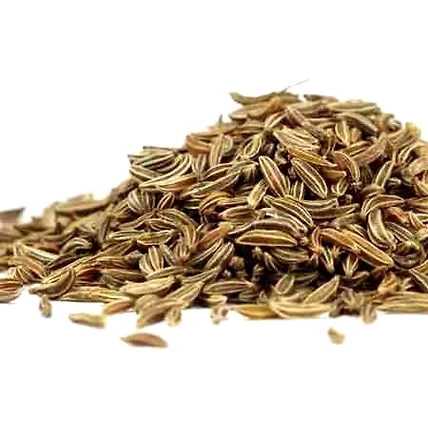 Cucim Seeds-1