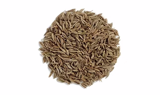 Cucim Seeds