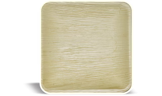 Areca palm leaf 10inch square plate