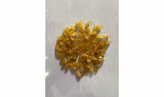 GOLDEN RAISINS (1st Quality) AAA