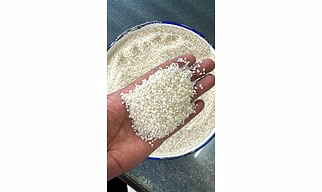Broken Rice