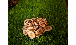 Dried Banana