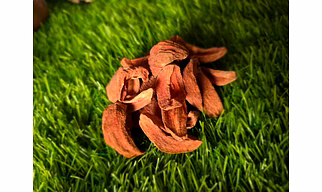 Dried Chico