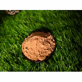 gooseberry or amla powder