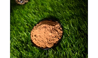 Gooseberry or Amla Powder