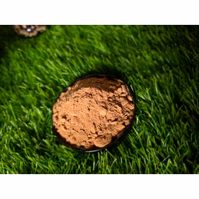 gooseberry or amla powder