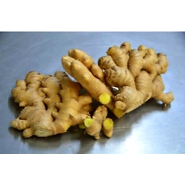 Patil Enterprises Ginger (Regodi & Himachal)