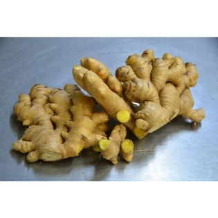 Ginger (Rigodi & Himachali)