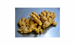 Ginger (Regodi & Himachal)