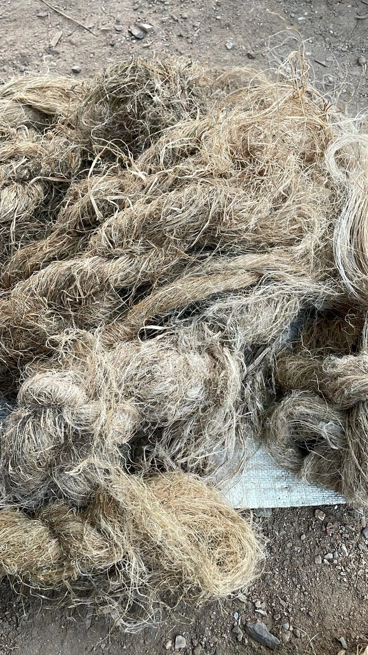 Hemp Fiber-2